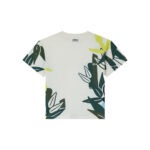 designer cotton t-shirt, stylish boys' clothing in yerevan